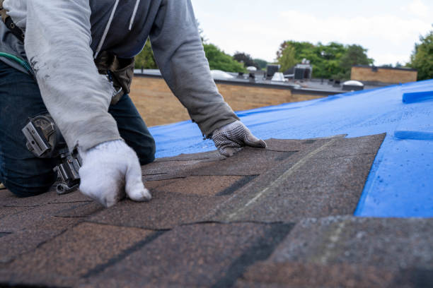 Best Sheet Metal Roofing  in Bogata, TX