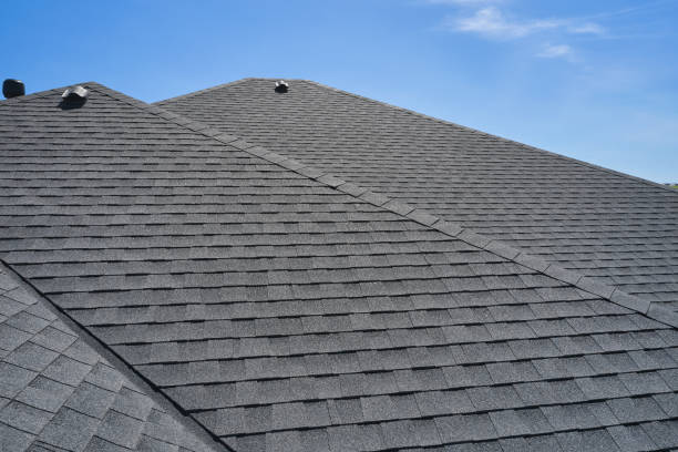 Best Roof Insulation Installation  in Bogata, TX