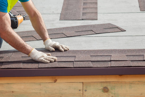 Best Roof Moss and Algae Removal  in Bogata, TX